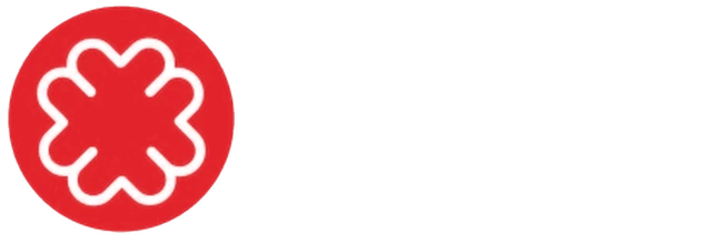 MAYRA IT Solutions